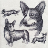 Cardigan Welsh Corgi Sketch