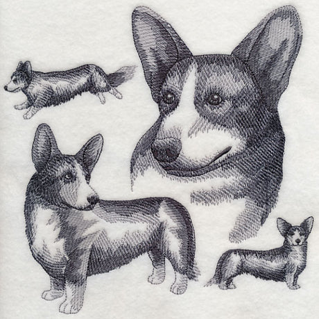 Cardigan Welsh Corgi Sketch