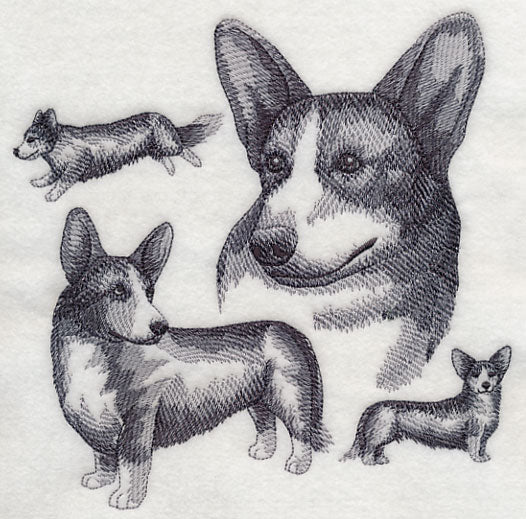Cardigan Welsh Corgi Sketch