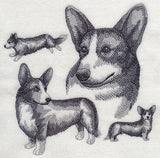 Cardigan Welsh Corgi Sketch