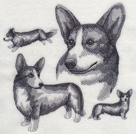 Cardigan Welsh Corgi Sketch