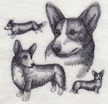 Cardigan Welsh Corgi Sketch