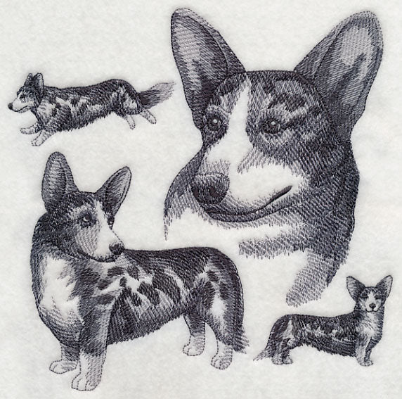 Cardigan Welsh Corgi Sketch - Merle