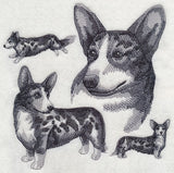Cardigan Welsh Corgi Sketch - Merle
