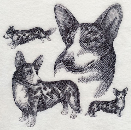 Cardigan Welsh Corgi Sketch - Merle