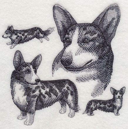 Cardigan Welsh Corgi Sketch - Merle