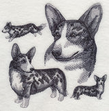 Cardigan Welsh Corgi Sketch - Merle