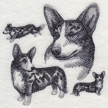 Cardigan Welsh Corgi Sketch - Merle