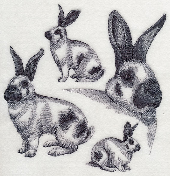 Checkered Giant Sketch