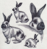 Checkered Giant Sketch