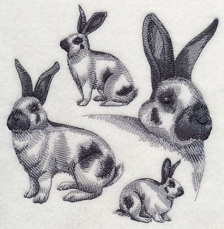 Checkered Giant Sketch