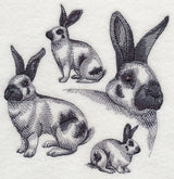 Checkered Giant Sketch