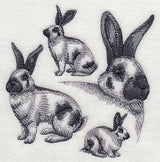 Checkered Giant Sketch