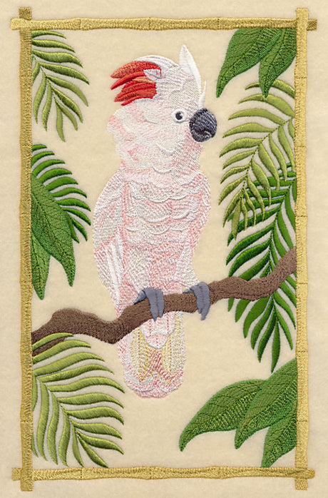 Moluccan Cockatoo in the Tropics