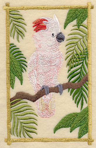 Moluccan Cockatoo in the Tropics