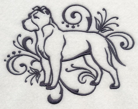 Graceful American Staffordshire Terrier (Full Ears)