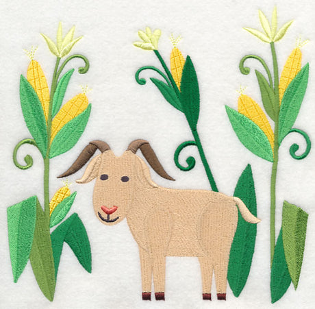 Goat in Sweet Corn