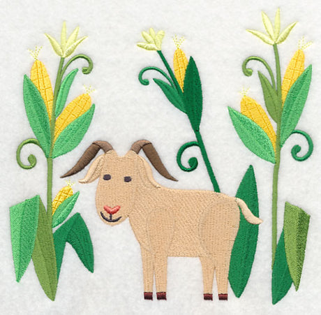 Goat in Sweet Corn