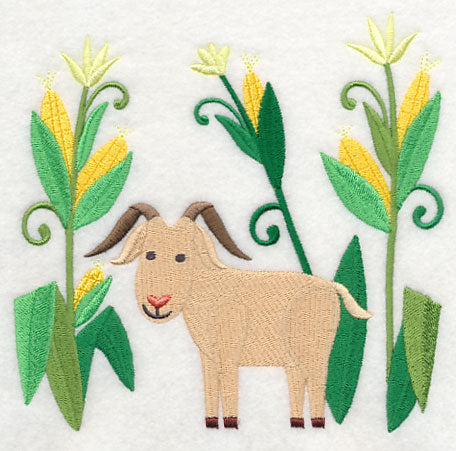 Goat in Sweet Corn
