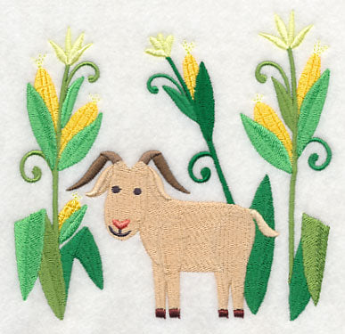Goat in Sweet Corn