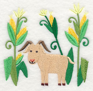 Goat in Sweet Corn
