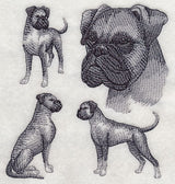 Boxer Sketch (Full Ears)