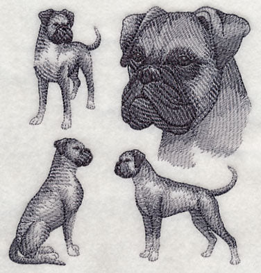 Boxer Sketch (Full Ears)