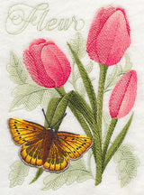 Large Copper Butterfly and Tulips