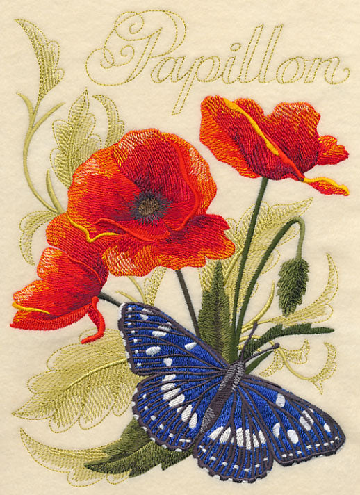 Southern White Admiral Butterfly and Poppies