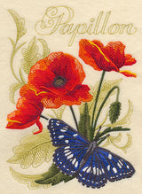 Southern White Admiral Butterfly and Poppies