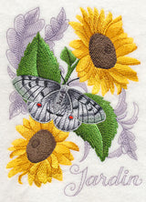 Apollo Butterfly and Sunflowers