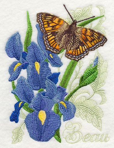 Small Tortoiseshell Butterfly and Irises