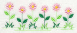 Country Charm Border - Daisy