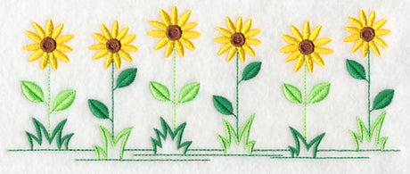 Country Charm Border - Black-eyed Susan