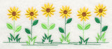 Country Charm Border - Black-eyed Susan