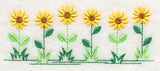 Country Charm Border - Black-eyed Susan