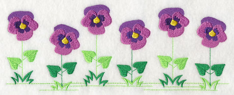 Country Charm Border - Pansy
