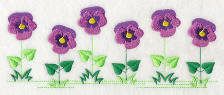 Country Charm Border - Pansy