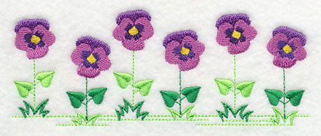 Country Charm Border - Pansy