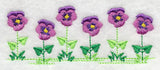 Country Charm Border - Pansy