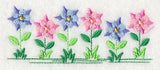 Country Charm Border - Columbine