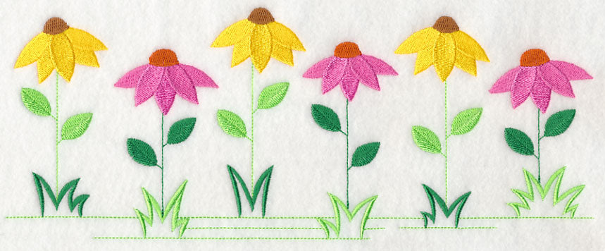 Country Charm Border - Coneflower
