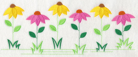 Country Charm Border - Coneflower