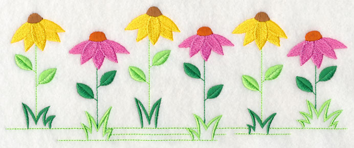 Country Charm Border - Coneflower