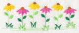 Country Charm Border - Coneflower