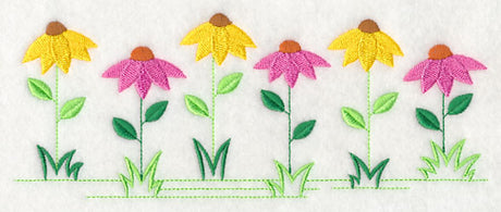 Country Charm Border - Coneflower