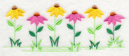 Country Charm Border - Coneflower