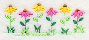 Country Charm Border - Coneflower