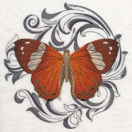Harlequin Metalmark with Baroque Background