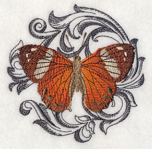 Harlequin Metalmark with Baroque Background